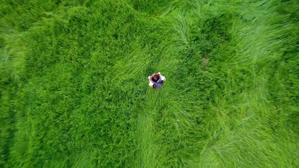 istock Vertical view of a hiker walking on a green meadow 1336253486