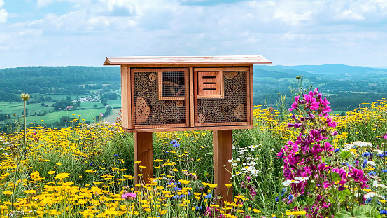View of a bee hotel built in between multi coloured wild flowers