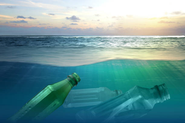 istock Plastic bottles on the sea 1336253840
