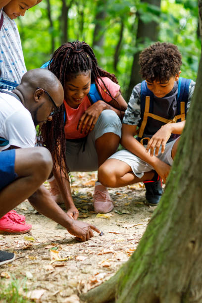 istock Hikers Family Explore The Nature 1336253984
