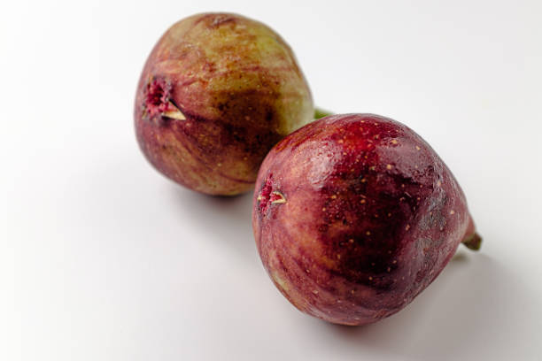 Fig