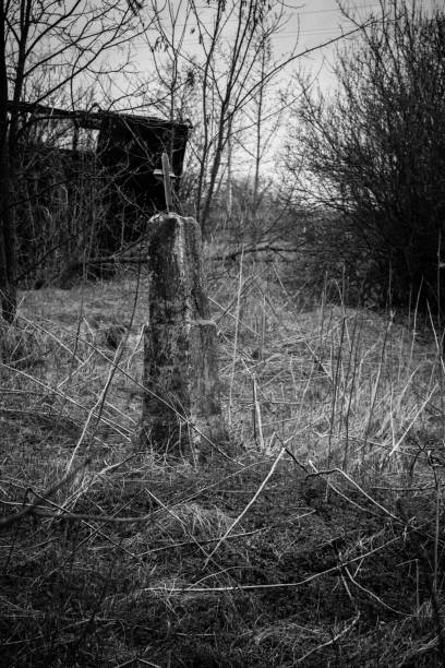 istock Old cross in graveyard. Black and white tone 1336262678