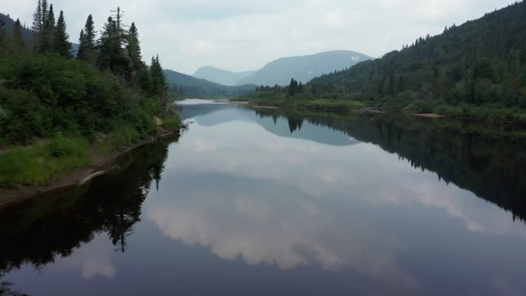 Aerial View of Boreal Nature Forest and River in Summer, Quebec, Canada