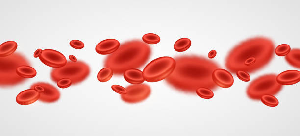 realistisch fließende erythrozyten. 3d rote blutkörperchen auf weißem hintergrund. medizinisches konzept. niedrige hämoglobinspiegel. vektor-illustration - blood cell formation stock-grafiken, -clipart, -cartoons und -symbole