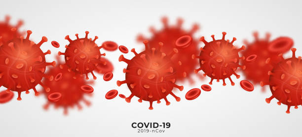 coronavirus 2019-ncov mit blutzellen. pathogener organismus. covid-19-epidemie infektionskrankheit. zelluläre infektion. 3d-virenmodell. medizinische deckung. vektor-illustration - model organism stock-grafiken, -clipart, -cartoons und -symbole