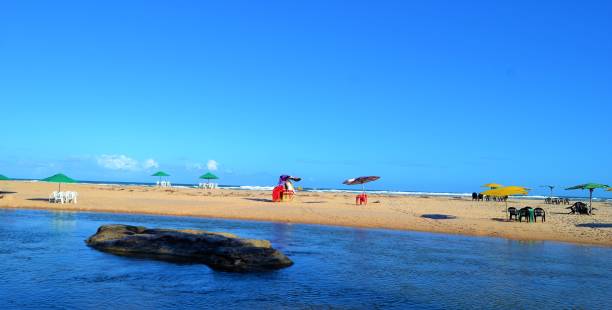 istock Bahia Brazil Costal Impressions 1336266111