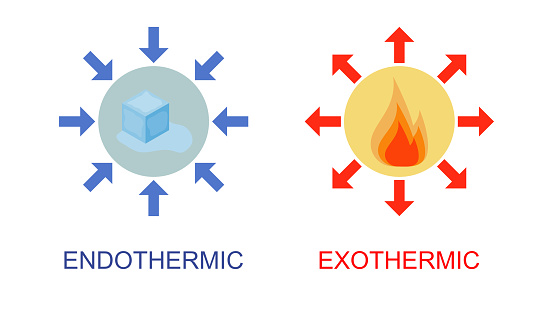 Illustration of exothermic and endothermic heat transfer concept.