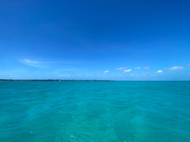 istock Aerial view of blue tropical ocean 1336268510