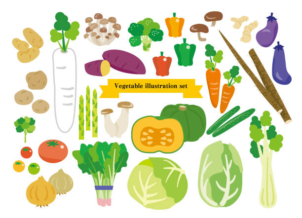 Simple vegetable illustration set Simple vegetable illustration set kabocha stock illustrations