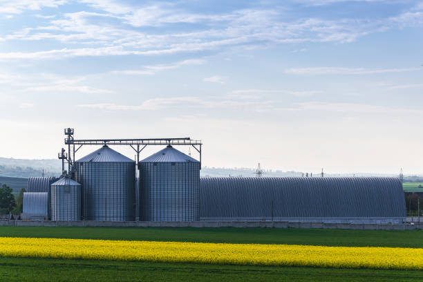 Huge agricultural hangar or farm grain storage. Background with copy space for text