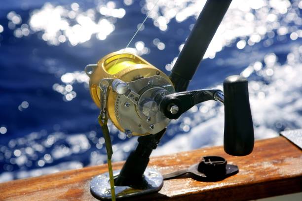 istock Big game boat fishing in deep sea 1336271691
