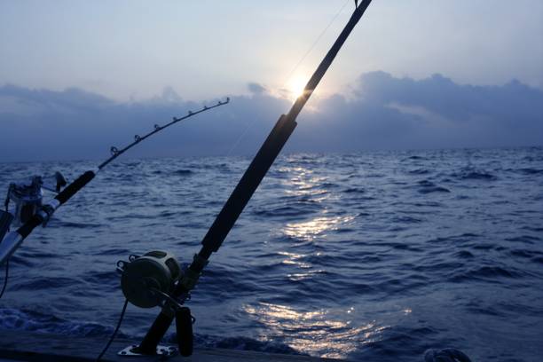 istock Big game boat fishing in deep sea 1336271905