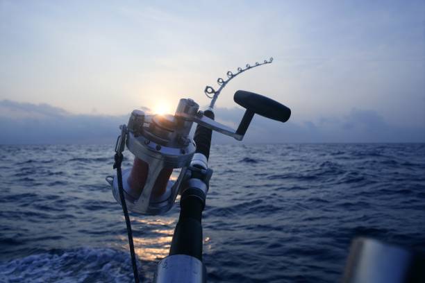 istock Big game boat fishing in deep sea 1336271912