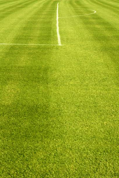 istock Golf course green grass hill field with holes 1336272770