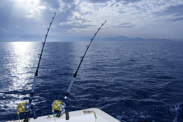istock Fishing boat trolling with two rods and reels 1336272979