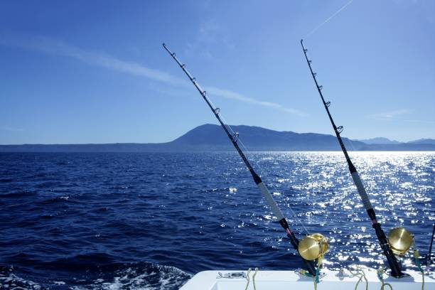 istock Blue trolling boat fishing saltwater 1336273538