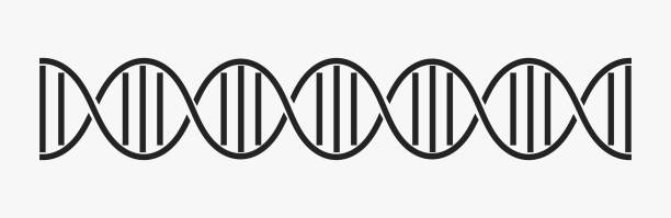 DNA helix strand icon DNA helix strand icon. Vector illustration. dna borders stock illustrations