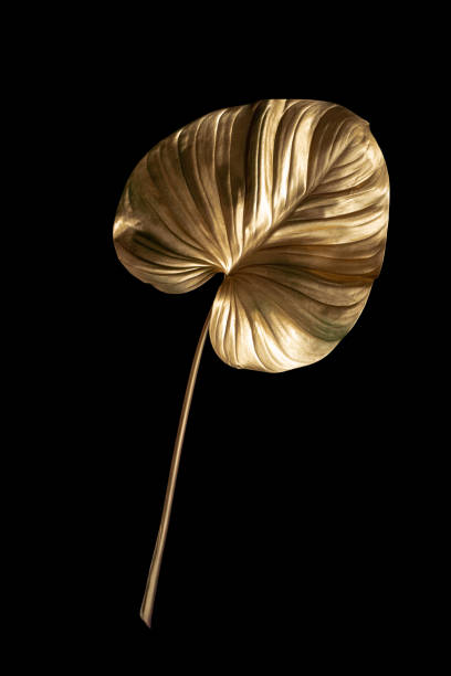 istock golden leaves isolated on black background, clipping path 1336275839