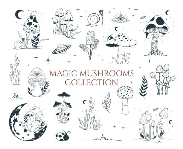 ilustrações, clipart, desenhos animados e ícones de grande coleção mística com cogumelos mágicos, elementos florais. fungos celestiais. tatuagem de bruxaria e cliparte oculto com lua e estrelas. - mushroom edible mushroom fungus symbol