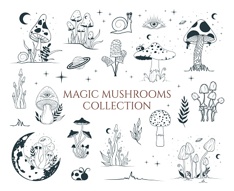 Big mystical collection with magic mushrooms, floral elements. Celestial fungi set. Witchy tattoo and occult clipart with moon and stars.