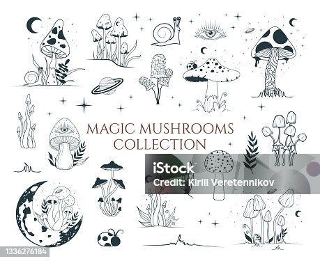 394 Trippy Mushroom Tattoos Illustrations & Clip Art - iStock