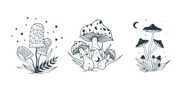 Celestial mushrooms. Psychedelic fungi, fungus set with moon and stars. vector art illustration
