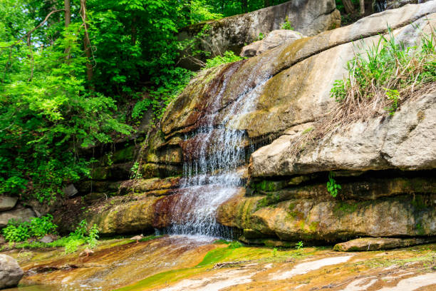 istock Beautiful waterfall in Sofiyivka park in Uman, Ukraine 1336277359