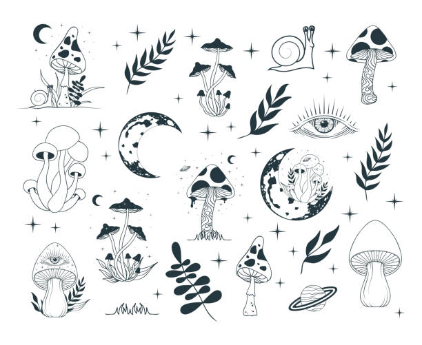 392 Pics Of A Trippy Mushroom Tattoos Illustrations & Clip Art - iStock