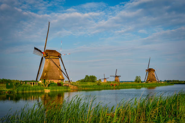 istock Windmills at Kinderdijk in Holland. Netherlands 1336278768