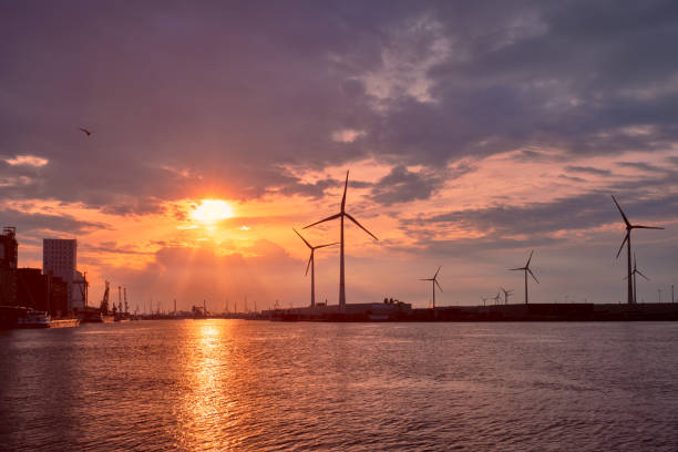istock Wind turbines in Antwerp port on sunset. 1336278817