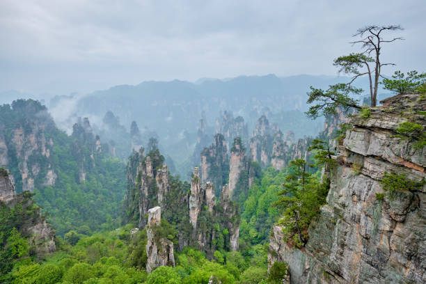 Zhangjiajie mountains, China Famous tourist attraction of China - Zhangjiajie stone pillars cliff mountains in fog clouds at Wulingyuan, Hunan, China zhangjiajie stock pictures, royalty-free photos & images