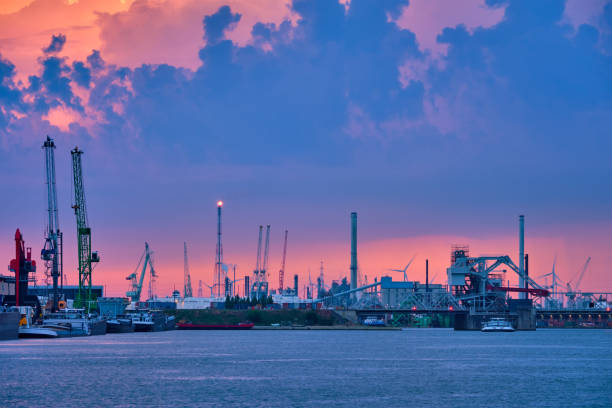 istock Port of Antwerp with harbor cranes in twilight 1336280319