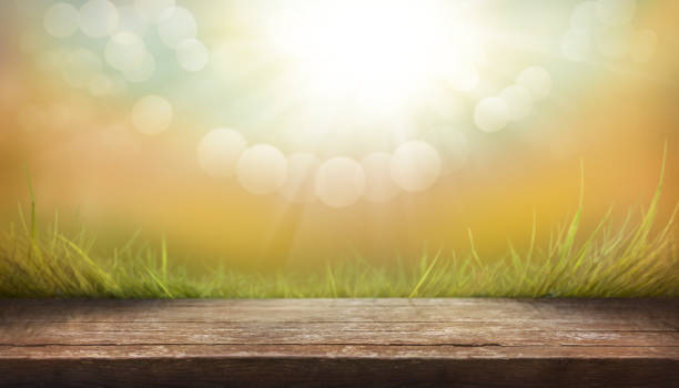 istock A wood table product display with copyspace with autumn sunny background 1336280730