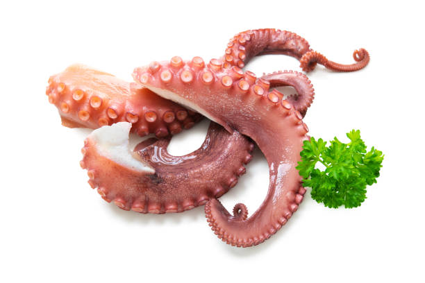 Octopus tentacles isolated on white background Octopus tentacles with fresh parsley isolated on white background octopus stock pictures, royalty-free photos & images