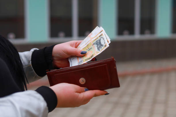 istock Moldovan lei MDL in female hands. Economic background with copy space 1336283144