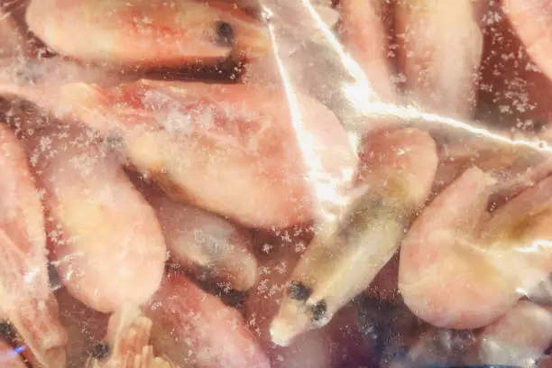 Photo of Frozen shrimps. Freezer with seafood in the fish market.