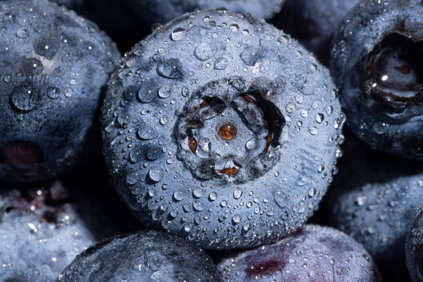 istock Extreme close-up of fresh blueberries with water drops 1336283867