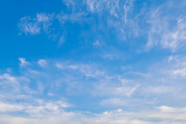istock Beautiful blue cloudy sky in windy weather. Background or blank 1336285914