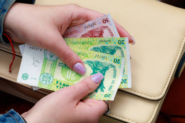 istock Moldovan lei MDL in female hands. Economic background with copy space 1336285919