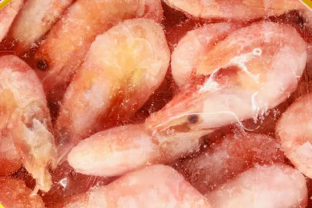 Photo of Frozen shrimps. Freezer with seafood in the fish market.