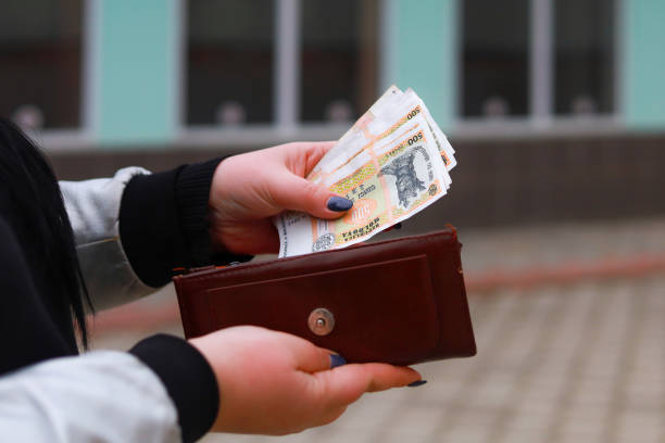 istock Moldovan lei MDL in female hands. Economic background with copy space 1336287385