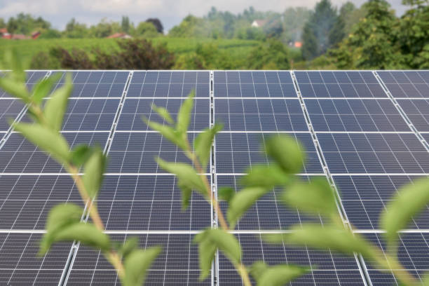 istock Solar energy , electricity, green power 1336292594