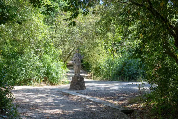 green area inside the garden of the enclosure in the locality of Mafra