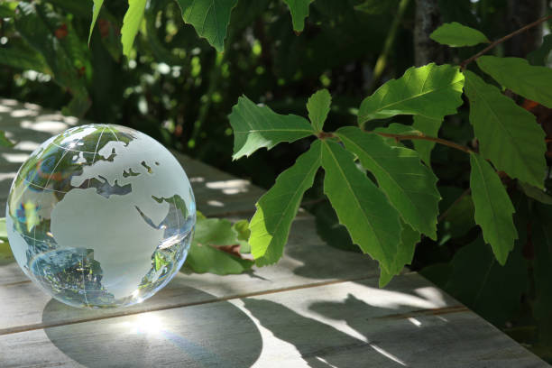 globe de verre et les feuilles vertes - siège des nations unies photos et images de collection