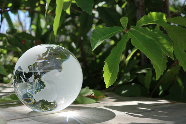 glass globe and the green leaves glass globe and the green leaves unicef photos stock pictures, royalty-free photos & images