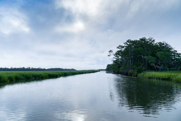 istock Partially overcast early morning light on a waterway through a grassy green salt marsh, distant boats and trees 1336297454