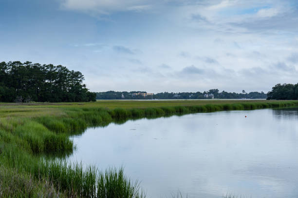 istock Sweeping waterway through a grassy salt marsh, tree line and early morning clouds and reflection, Mount Pleasant South Carolina 1336297501