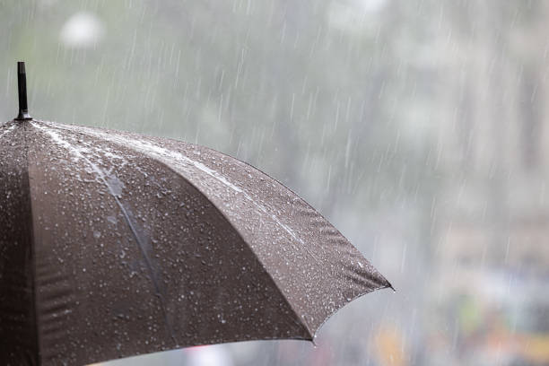 istock Grey umbrella under a strong rain, blurred background,  narrow angle view, nature and weather concepts, Gorizia, FVG region, Italy 1336306049