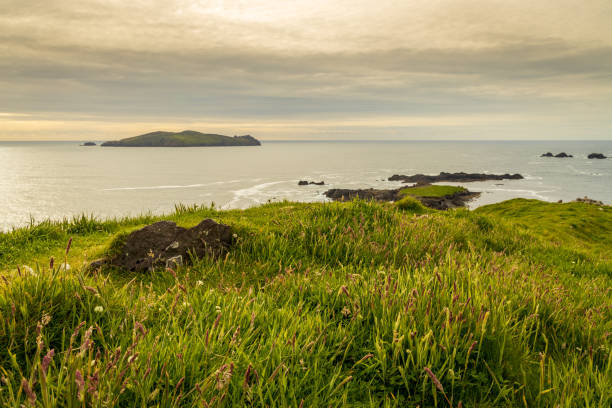 istock Great Blasket Island, Dingle, Kerry, Wild Atlantic Way, Ireland 1336306076