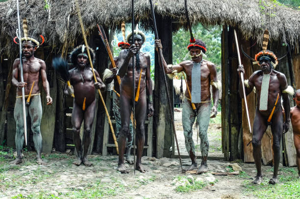 Papuanese tribal men Baliem Valley, West Papua, Indonesia, October 07, 2008: Dani tribe people of Baliem Valley in their traditional outfits dani stock pictures, royalty-free photos & images